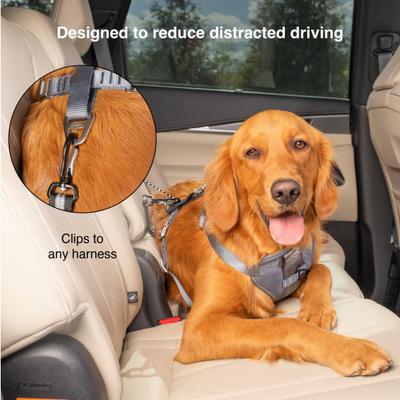 Show full view: Kurgo Direct to Latch Swivel Tether Dog Car Seatbelt, Black/Charcoal slide 3 of 7