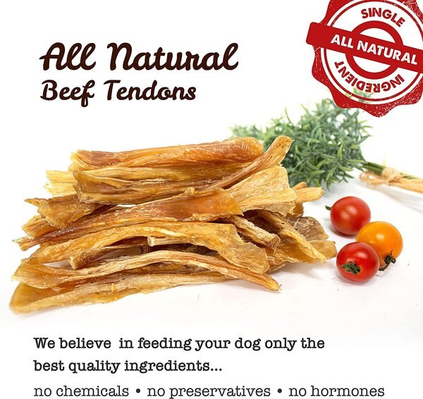 Discontinued DOWNTOWN PET SUPPLY 4 to 7in Beef Tendon Natural Dog