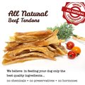 Downtown Pet Supply 4 to 7-in Beef Tendon Natural Dog Chew, 10 count