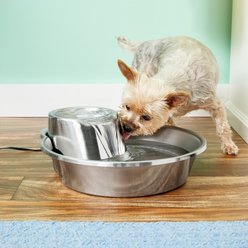 Pioneer Pet Big Max Style Stainless Steel Dog & Cat Fountain, 128-oz slide 2 of 6