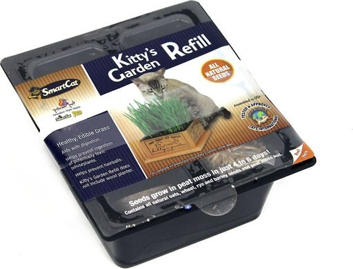 SmartCat Kitty's Garden Seed Refill Kit