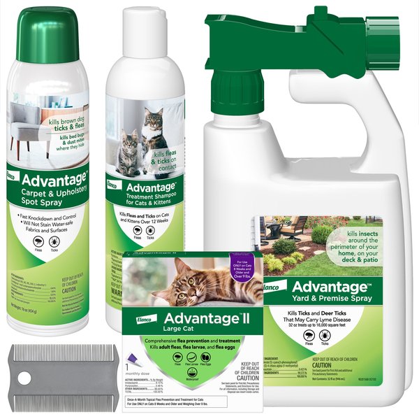 Flea and tick carpet shampoo best sale