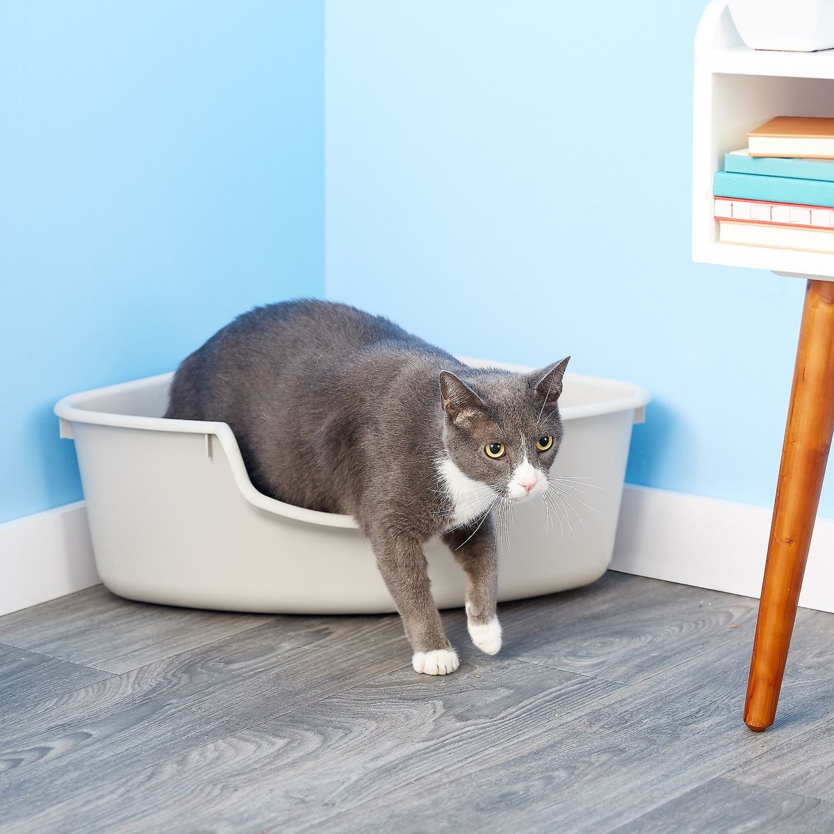 Small corner hot sale litter box