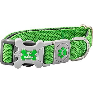 HUGO & HUDSON Mesh Dog Collar, Green, Small
