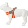 HUGO & HUDSON Easy V Dog Harness, Orange, Size 6