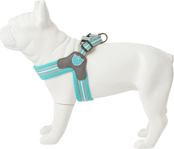 Out of Stock HUGO & HUDSON Easy V Dog Harness, Aqua, Size 2