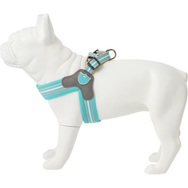 Out of Stock HUGO & HUDSON Easy V Dog Harness, Aqua, Size 2