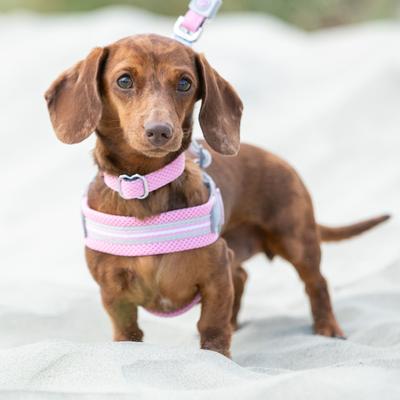 Show full view: HUGO & HUDSON Easy V Dog Harness, Pink, Size 6 slide 7 of 10