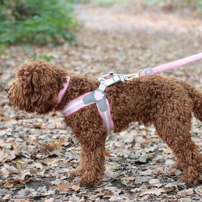 Show full view: HUGO & HUDSON Easy V Dog Harness, Pink, Size 6 slide 9 of 10