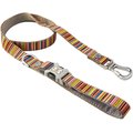 HUGO & HUDSON Stripe Printed Dog Leash, Multi-colored, Medium/Large