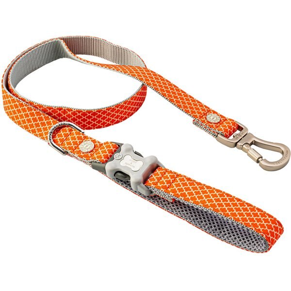HUGO & HUDSON Printed Dog Leash, Orange, Medium/Large