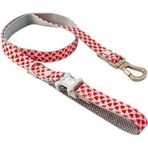 HUGO & HUDSON Watermelon Printed Dog Leash, Pink, X-Small/Small