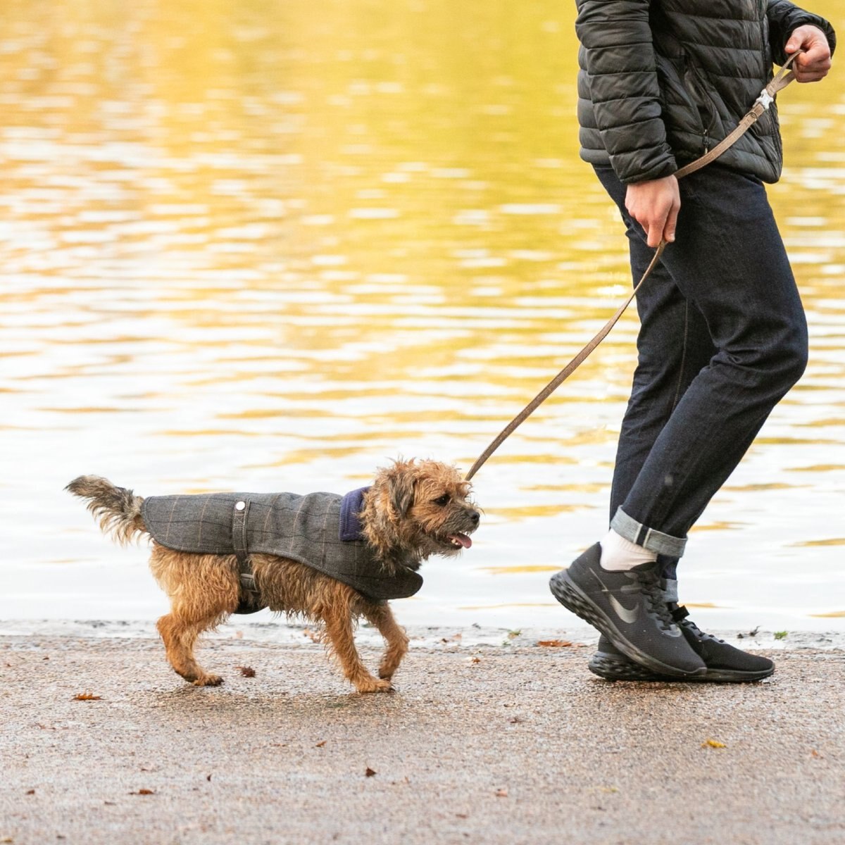 HUGO & HUDSON Checked Herringbone Tweed Dog Leash, Caramel, Large