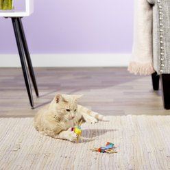 Cat Dancer Whisker Chasers Cat Toy, 2 count slide 2 of 5