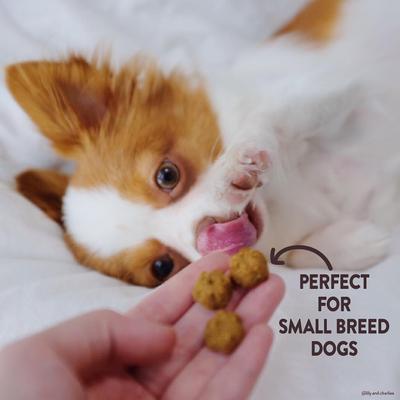 Show full view: Wellness Petite Treats Turkey & Pomegranate Recipe Soft Grain-Free Dog Treats, 6-oz bag slide 5 of 10