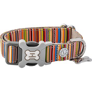 HUGO & HUDSON Nylon Striped Bone Buckle Dog Collar, Multi-colored, medium