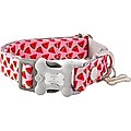 HUGO & HUDSON Nylon Watermelon Bone Buckle Dog Collar, Pink, medium