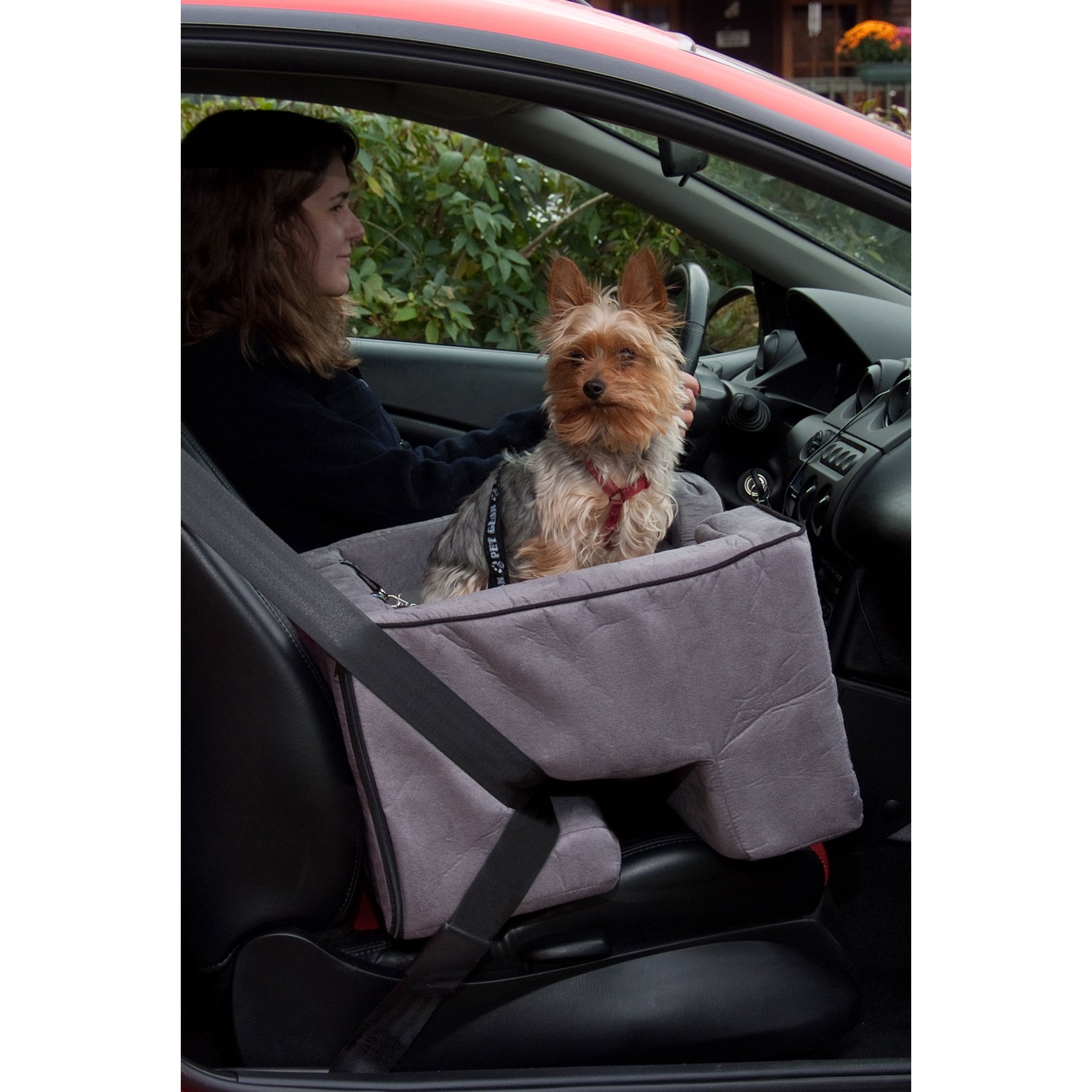 Pet gear medium car booster hotsell