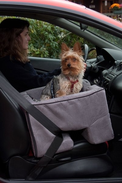 Pet Gear Large Car Booster, Charcoal slide 1 of 6