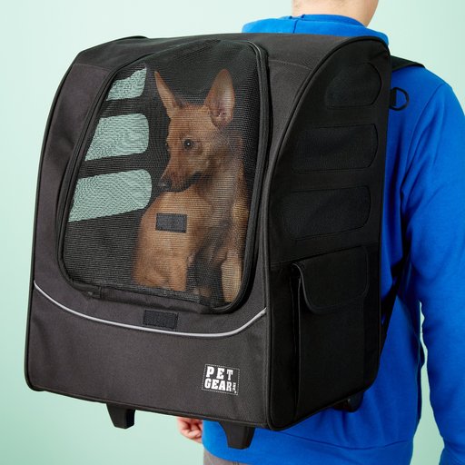 Pet Gear I-GO Plus Traveler Dog & Cat Backpack & Rolling Carrier, Black