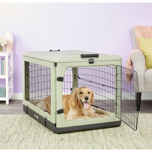 Pet Gear The Other Door Double Door Collapsible Wire Dog Crate & Plush Pad, Sage, 42 inch