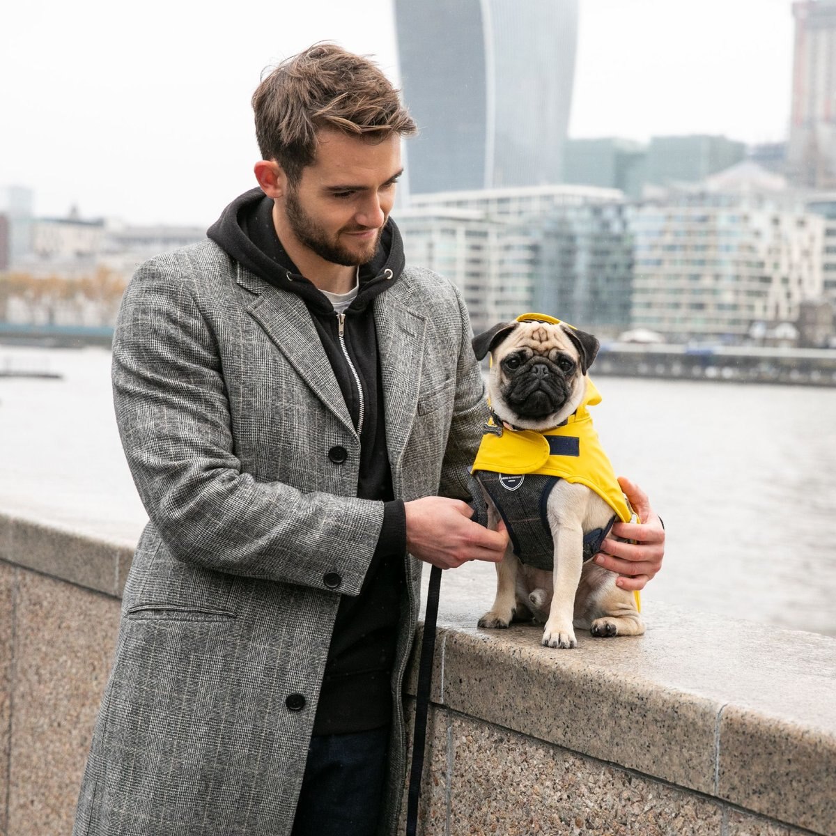 HUGO & HUDSON Checked Herringbone Tweed Metal Buckle Dog Collar, Grey