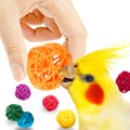 SunGrow 1.2-in Rattan Balls Bird Toy, 32 count