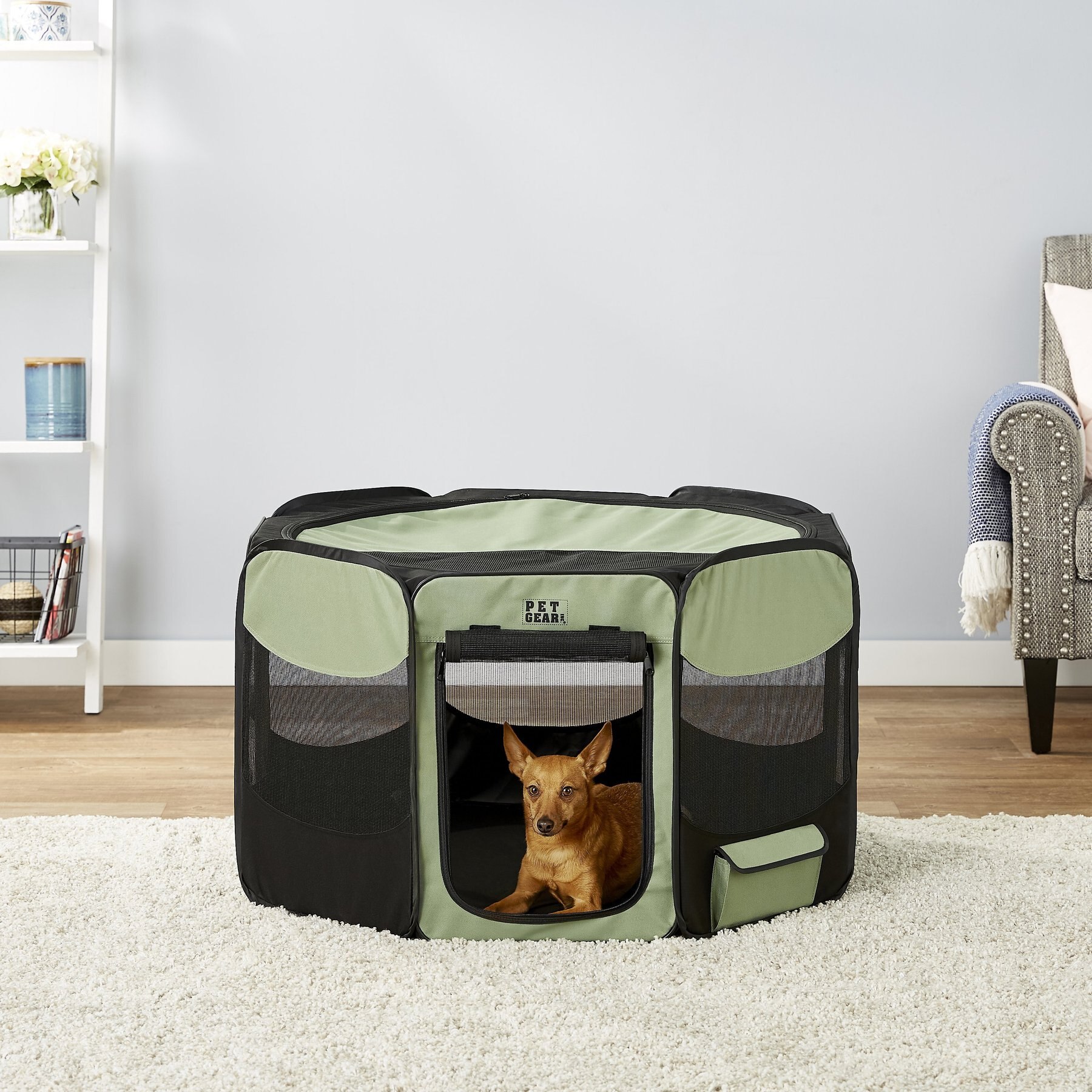 PET GEAR Travel Lite Soft Sided Dog Cat Pen with Removable Top Sage Large Chewy