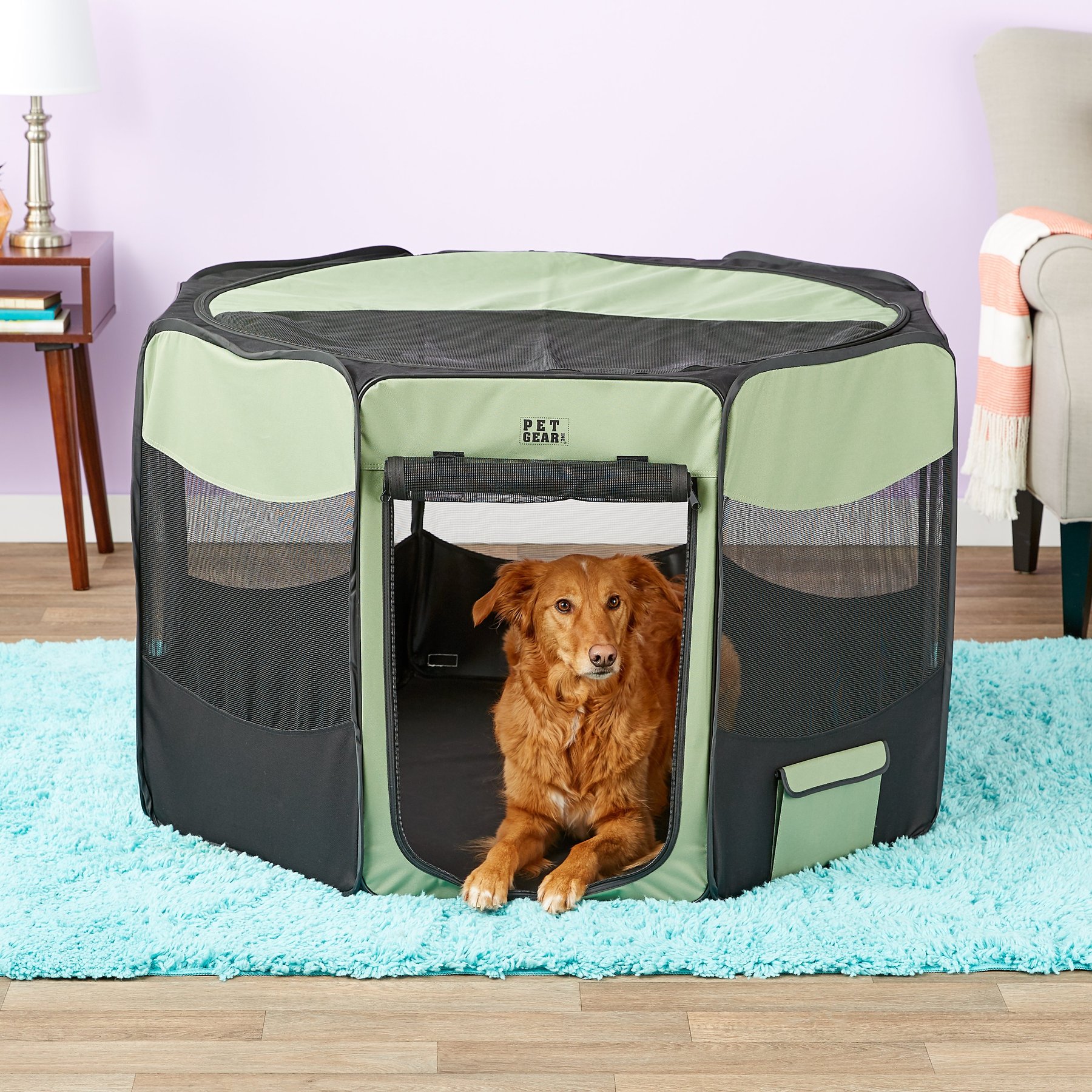 Pet gear travel lite octagon 2024 pet pen