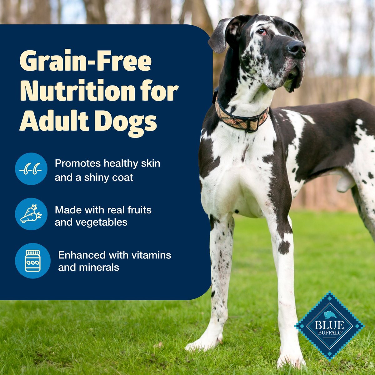 Blue freedom grain clearance free dry dog food