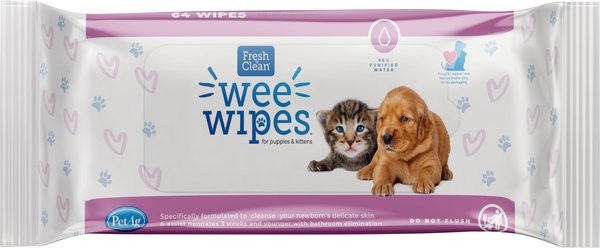 PetAg Wee Cat Dog & Small-Pet Wipes, 64 count slide 1 of 6