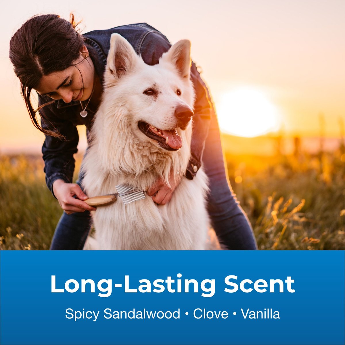 Long lasting scent dog 2024 shampoo