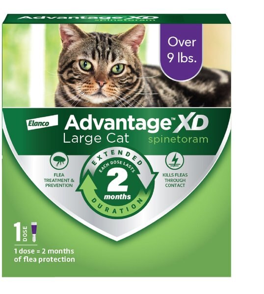 Advantage XD Large Cat Treatment, 1 count slide 1 of 8