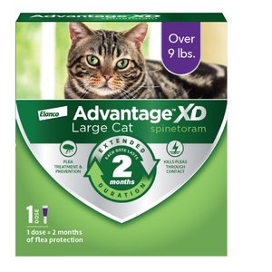 Advantage XD Large Cat Treatment, 1 count