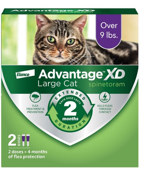 Advantage XD Large Cat Treatment, 2 count slide 1 of 9