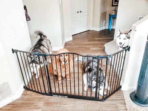 MyPet Windsor Extra Wide Arch Pet Gate for Dogs & Cats