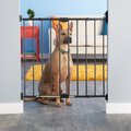 MyPet Windsor Walk Thru Swing Gate for Dogs & Cats