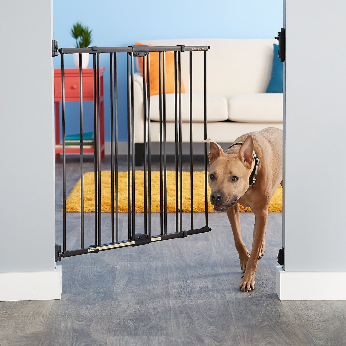 Savic dog barrier hotsell 2 with cat door