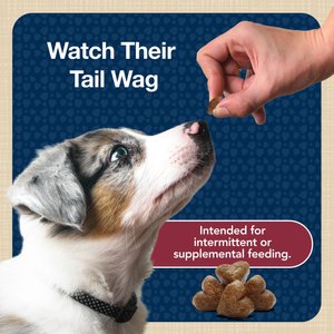 Blue Buffalo Blue Bits Tender Beef Recipe Soft-Moist Training Dog Treats, 4-oz bag