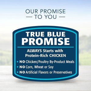 Blue Buffalo Homestyle Recipe Senior Chicken Dinner with Garden Vegetables Canned Dog Food, 12.5-oz, case of 12