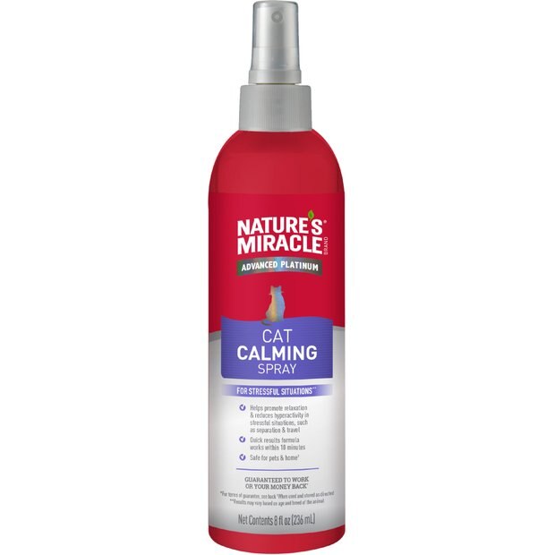 Picture of Cat Anxiety & Calming Care - Free shipping | Chewy
