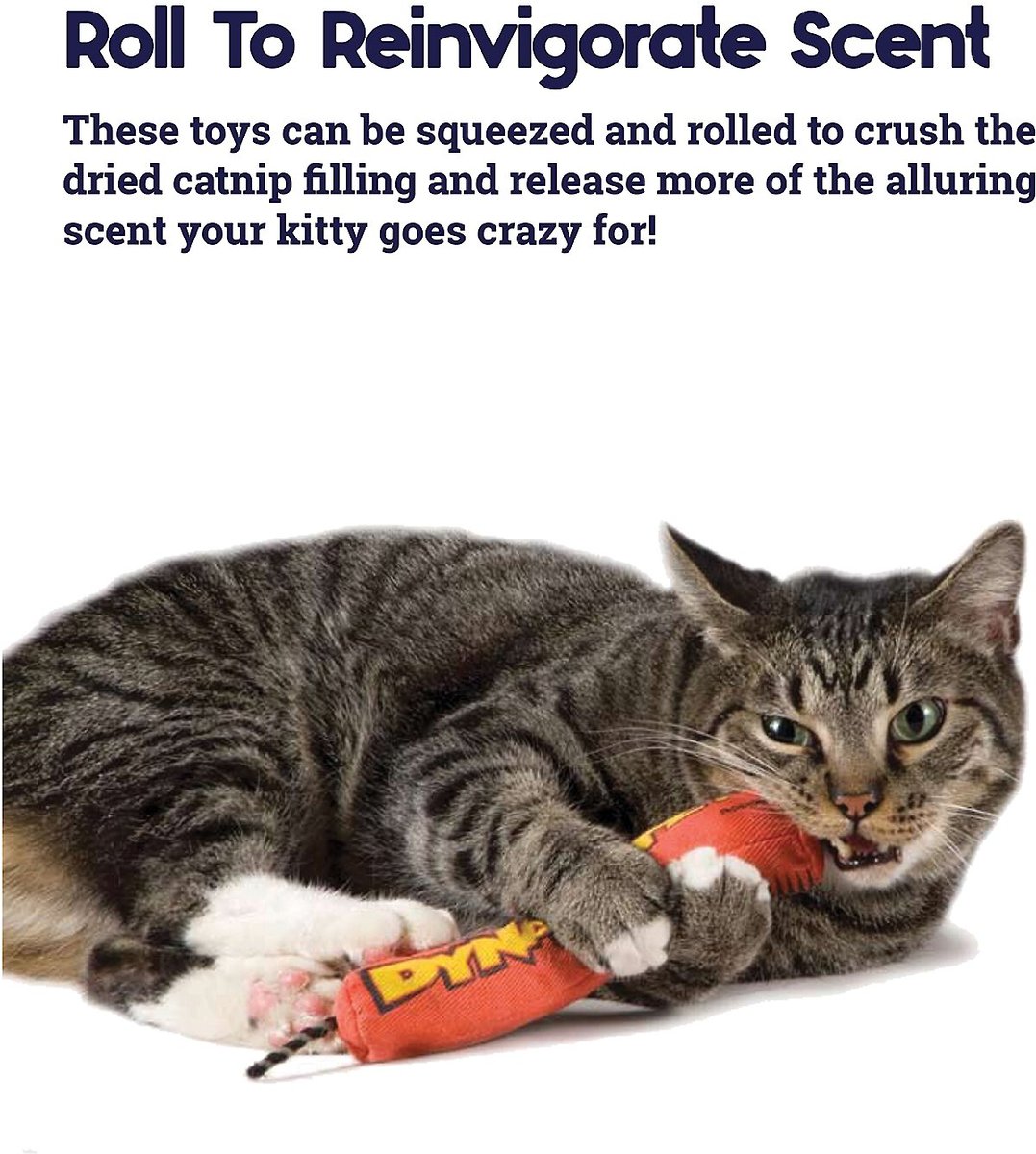 Dynamite store cat toy