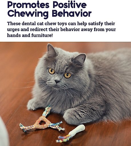 Catstages Dental Cat Chew Toy with Catnip, Color Varies