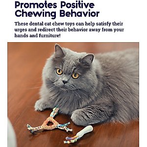 Catstages Dental Cat Chew Toy with Catnip, Color Varies