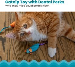 Catstages Mice Cat Chew Toy with Catnip slide 2 of 7