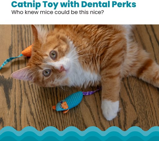 Catstages Mice Cat Chew Toy with Catnip