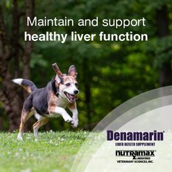 Nutramax Denamarin with S-Adenosylmethionine & Silybin Tablets Liver Supplement for Medium Dogs, 30 count slide 2 of 9