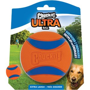 Chuck it clearance ultra ball large