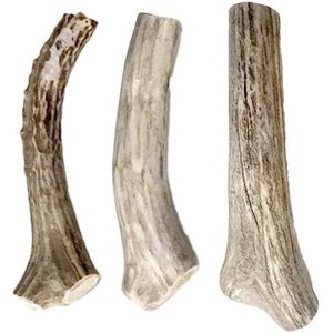 HOTSPOT PETS 5-8-inch All Natural Small Whole Deer Antler Chews Dog Treats, 1 count
