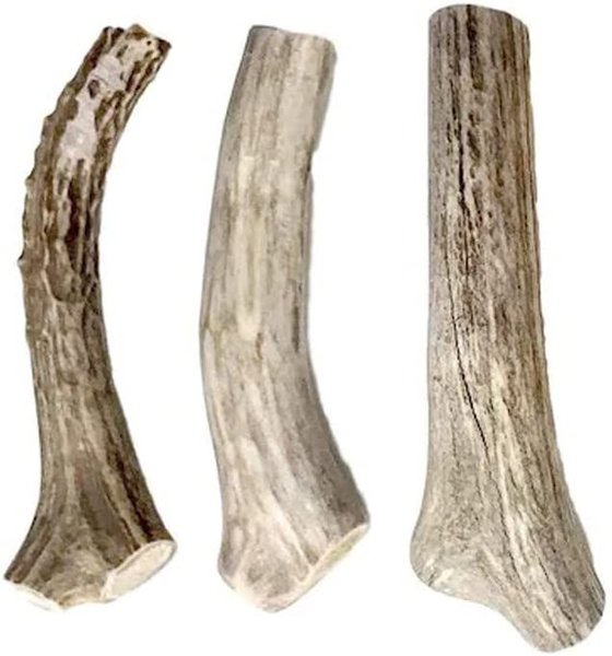 HOTSPOT PETS 5-8-inch All Natural Small Whole Deer Antler Chews Dog Treats, 2 count slide 1 of 8